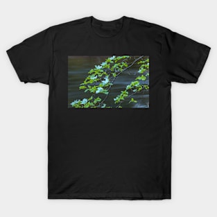 Dogwood Blossoms T-Shirt